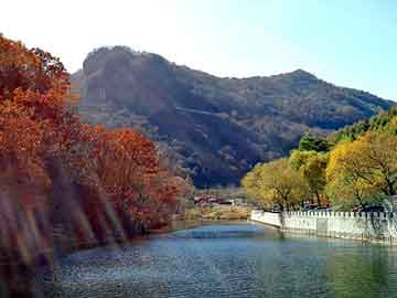 管家婆黑白马报图库，前途渺茫